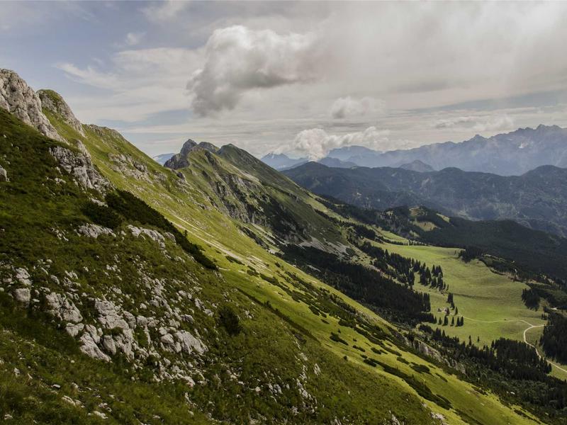 听松问月<br>lyd4nhjn.cn 隐逸山林指南
